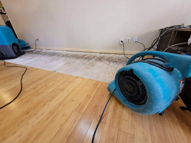 Professional Structural Drying technician working in Elgin, TN
